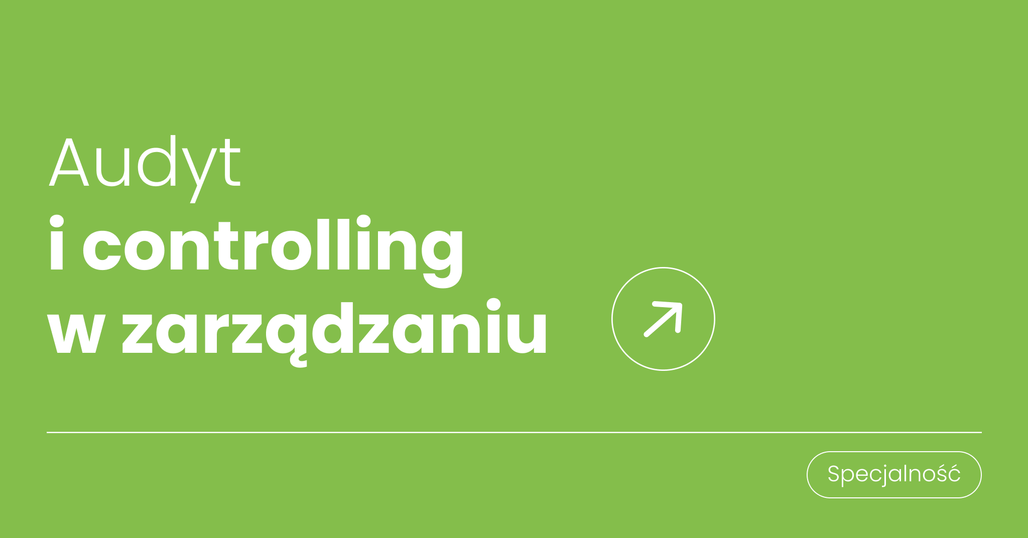 Audyt i controlling w zarządzaniu