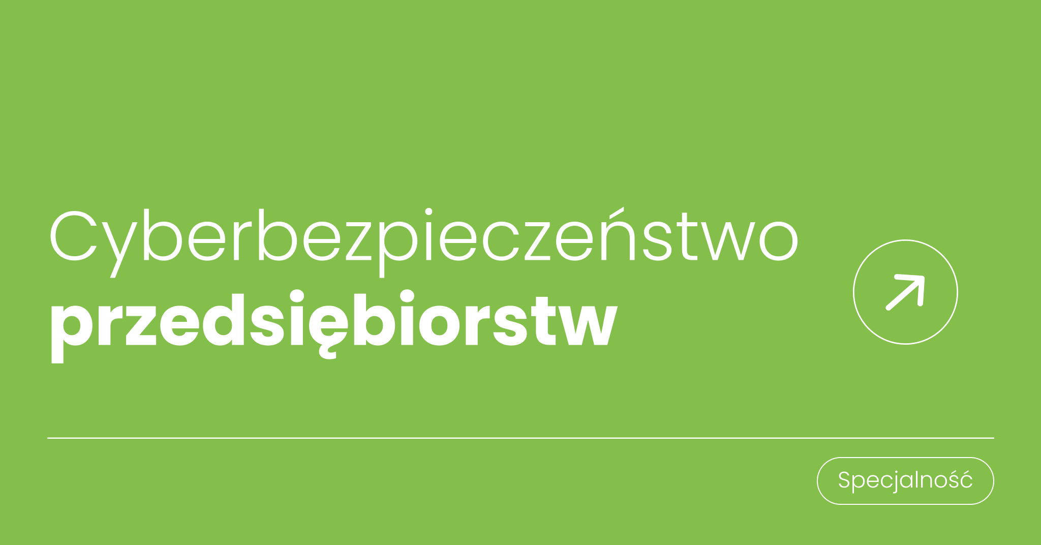 Cyberbezpieczeństwo przedsiębiorstw