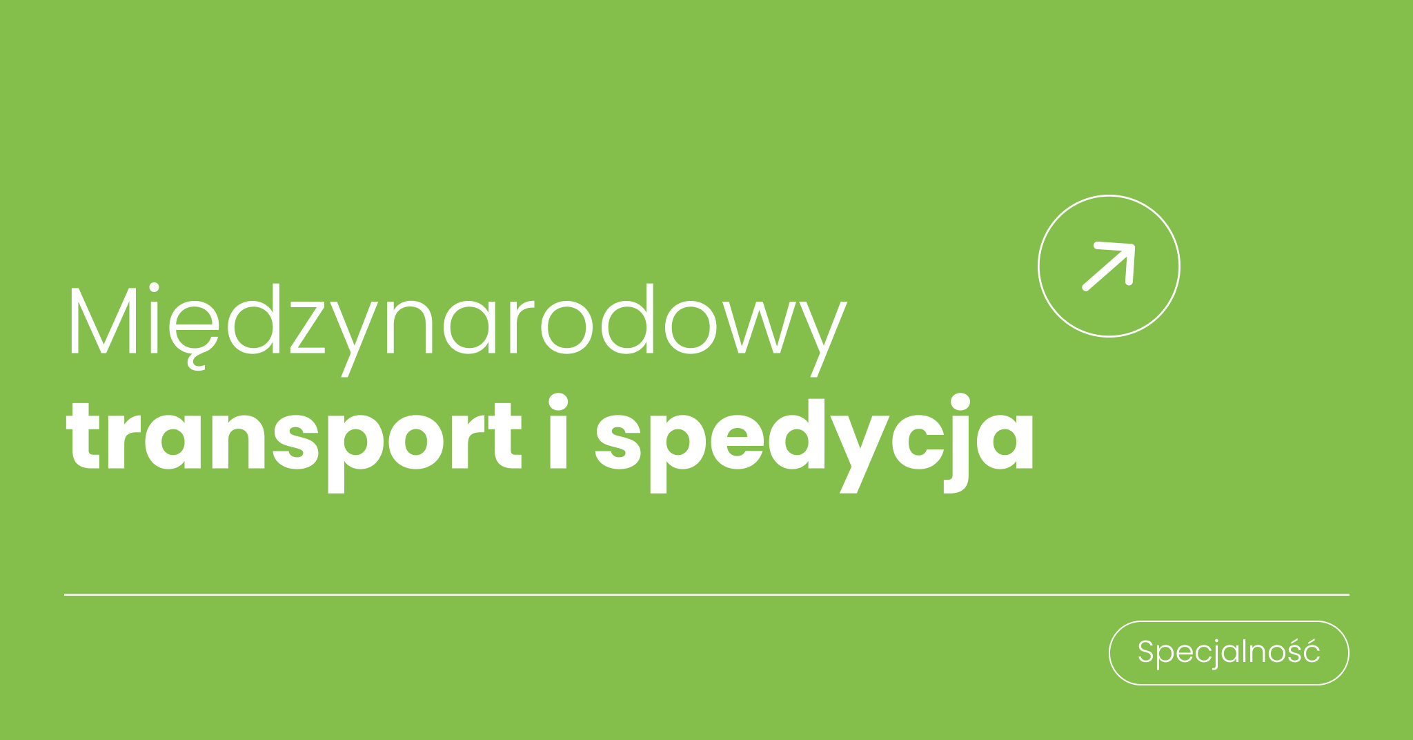 Międzynarodowy transport i spedycja